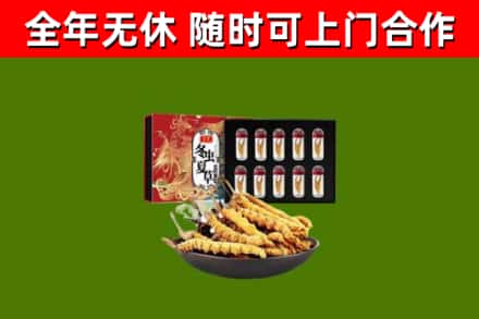 安新县回收冬虫夏草价格