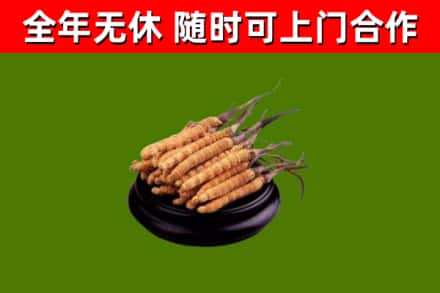 安新县烟酒回收冬虫夏草.jpg